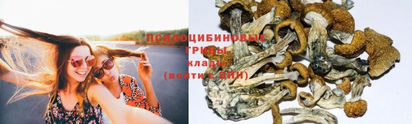 ECSTASY Балабаново