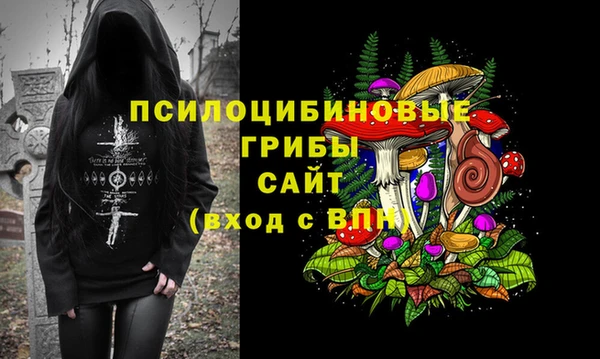 спайс Баксан