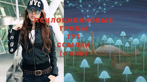 спайс Баксан