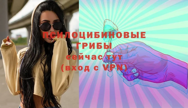 ГАЛЛЮЦИНОГЕННЫЕ ГРИБЫ Армянск